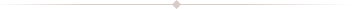 Horizontal divider