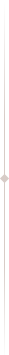 Vertical divider