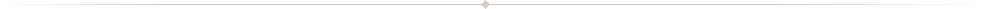Vertical divider